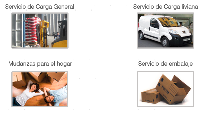 servicios